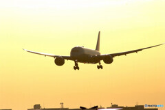 Wings of November✈2022