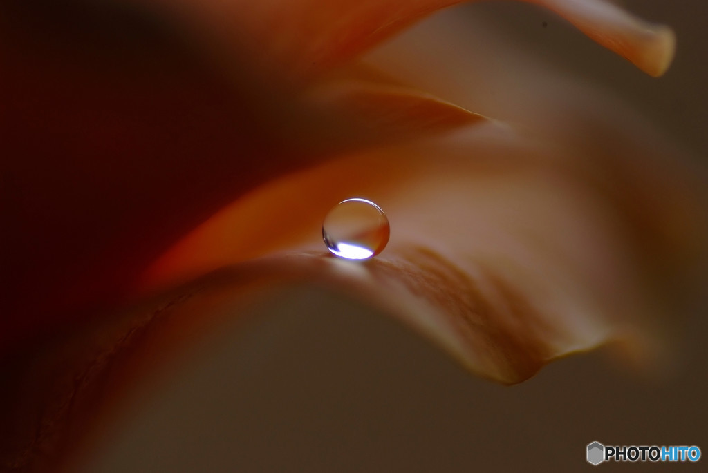 恋する惑星・夏