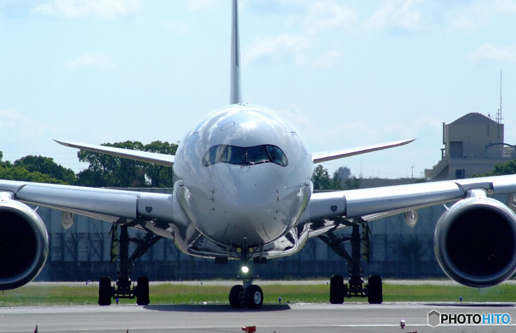 男の紋章Ⅱ✈2024夏