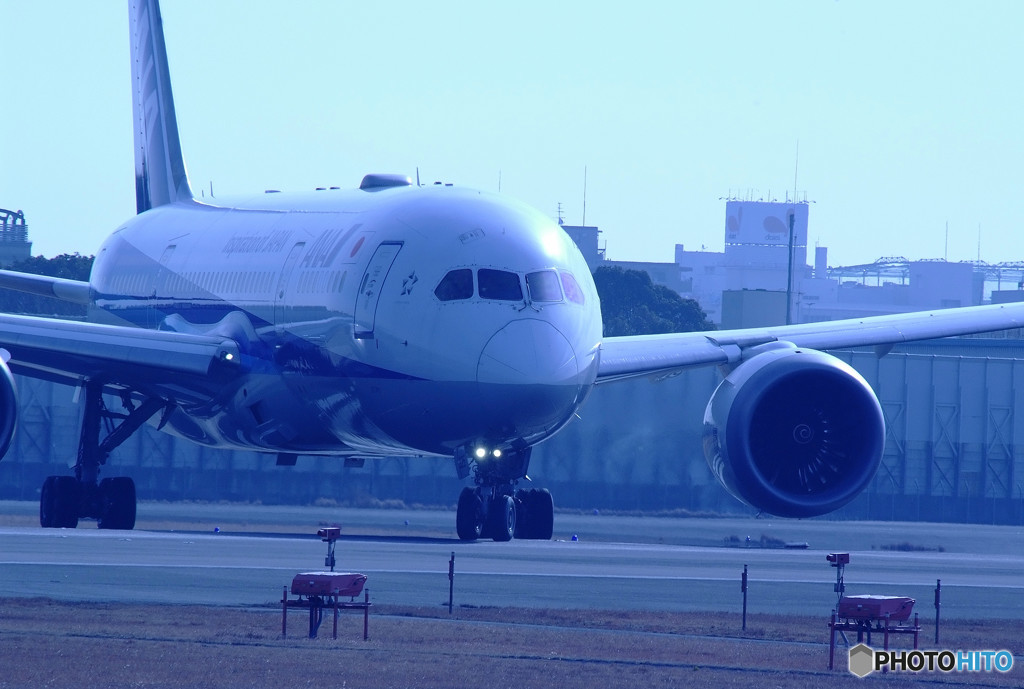 Boeing 787-8 Dreamliner・蒼