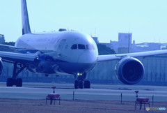 Boeing 787-8 Dreamliner・蒼
