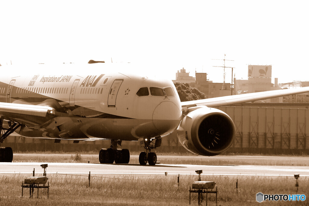 この空のどこかで✈ANA787