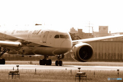 この空のどこかで✈ANA787