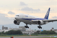 Morning ShowⅡ・ANA