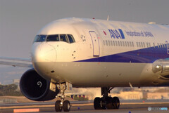 如月の朝✈ANA boeing 767