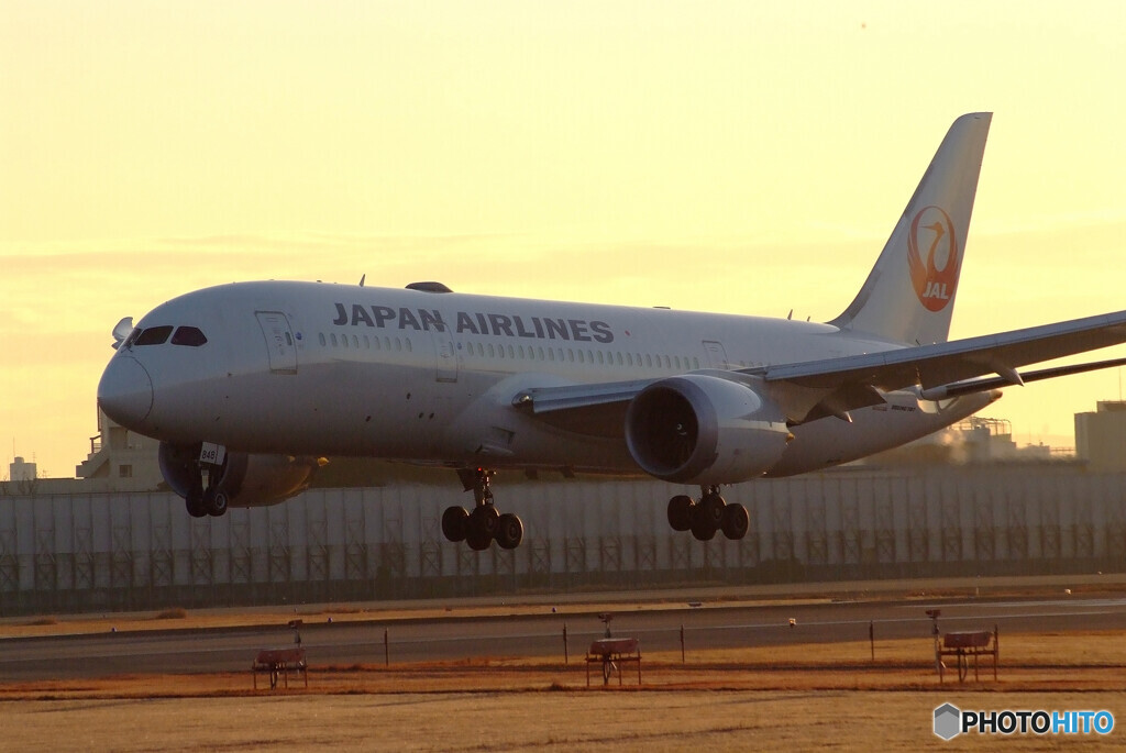 睦月の朝2024✈Boeing 787-8
