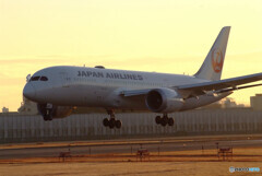 睦月の朝2024✈Boeing 787-8