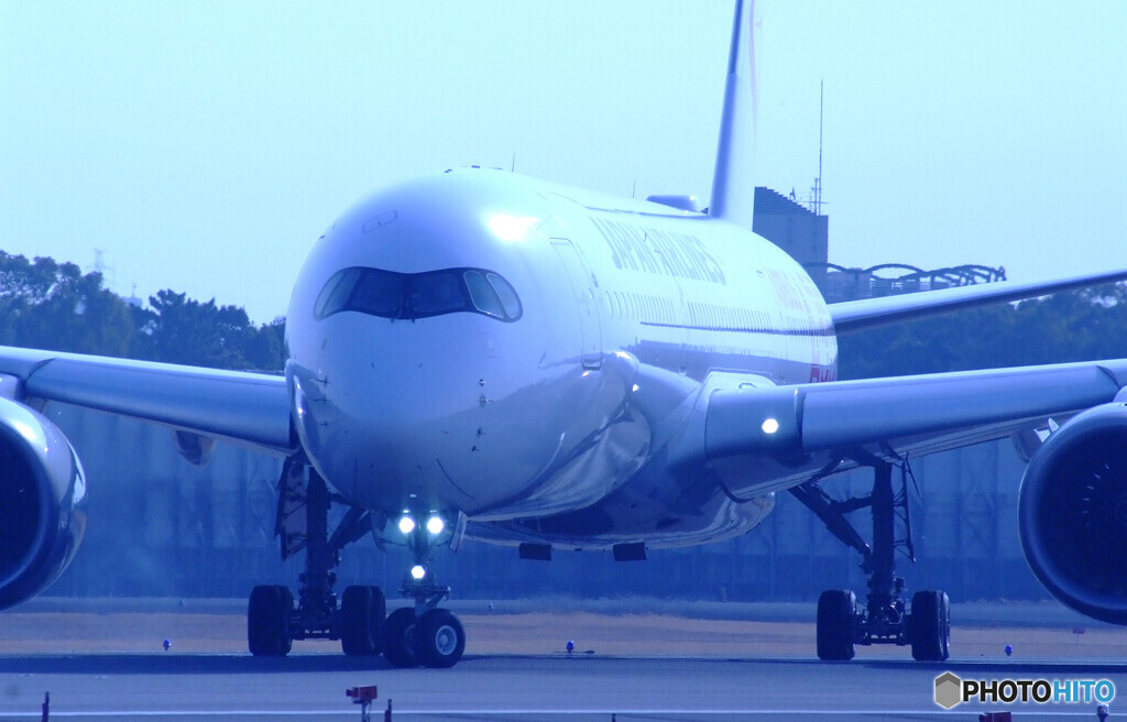 蒼が飛ぶ✈JA01XJ