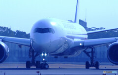 蒼が飛ぶ✈JA01XJ