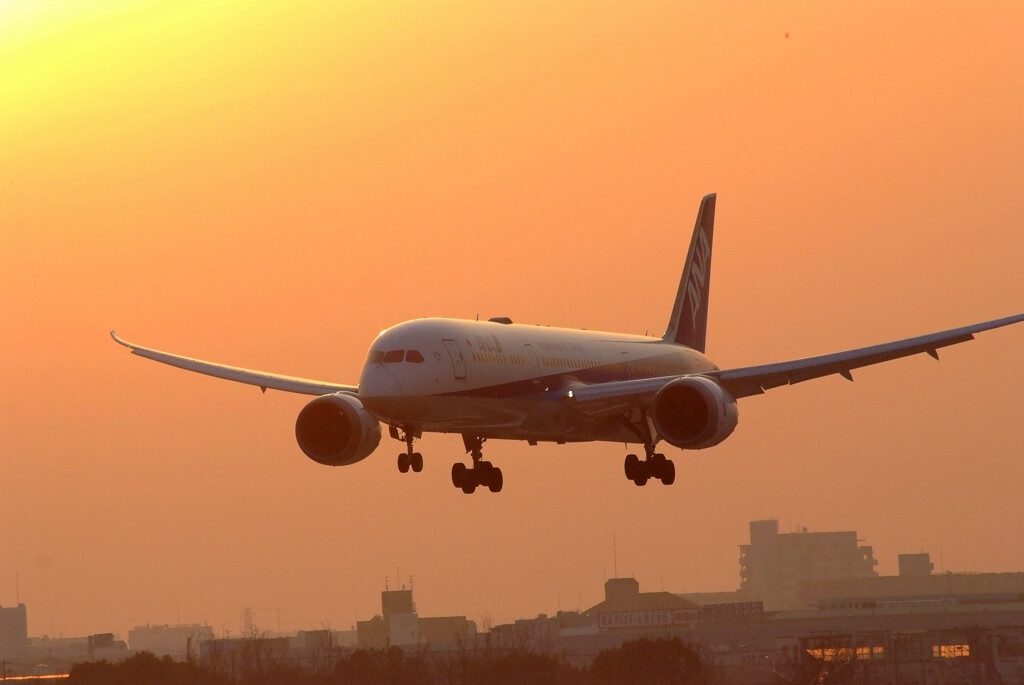 癒しの時間★Boeing787-9