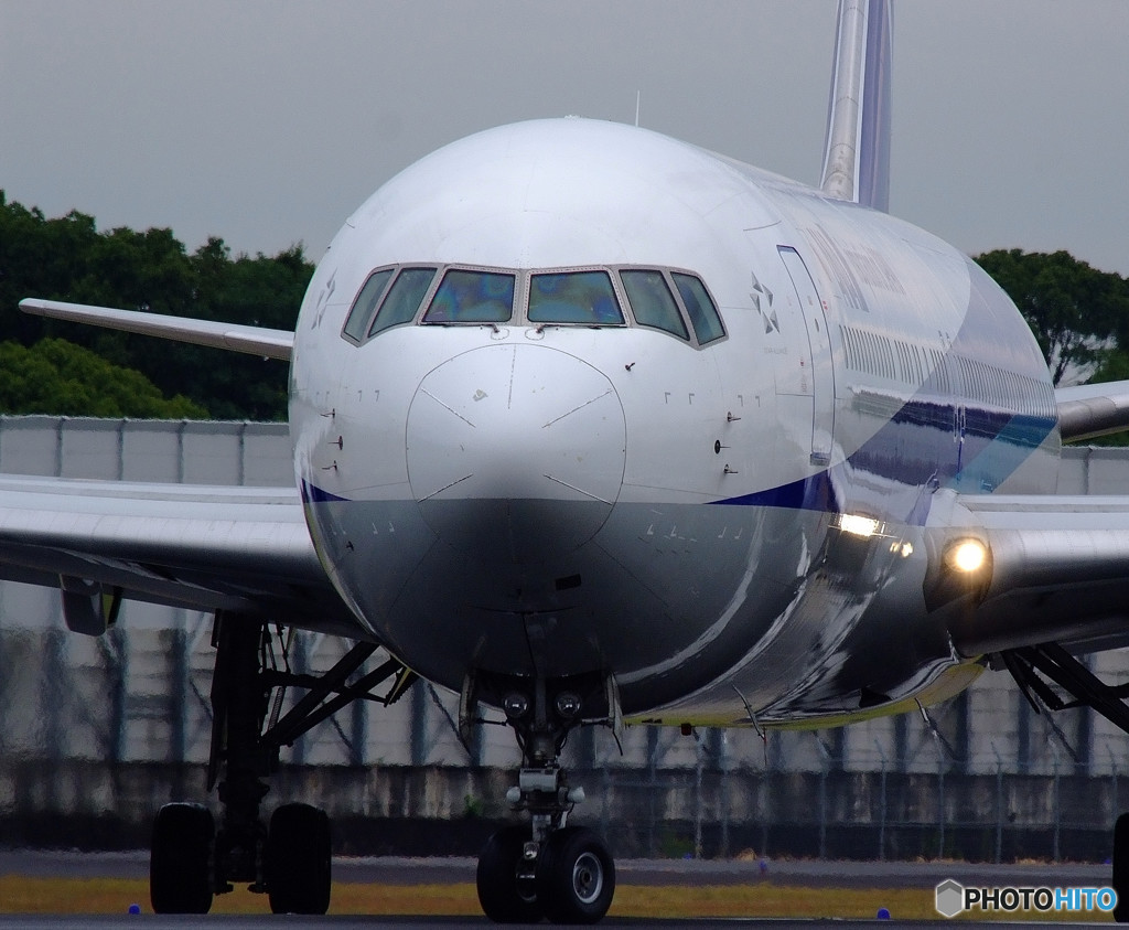 Morning StarⅣ・秋