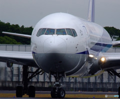 Morning StarⅣ・秋