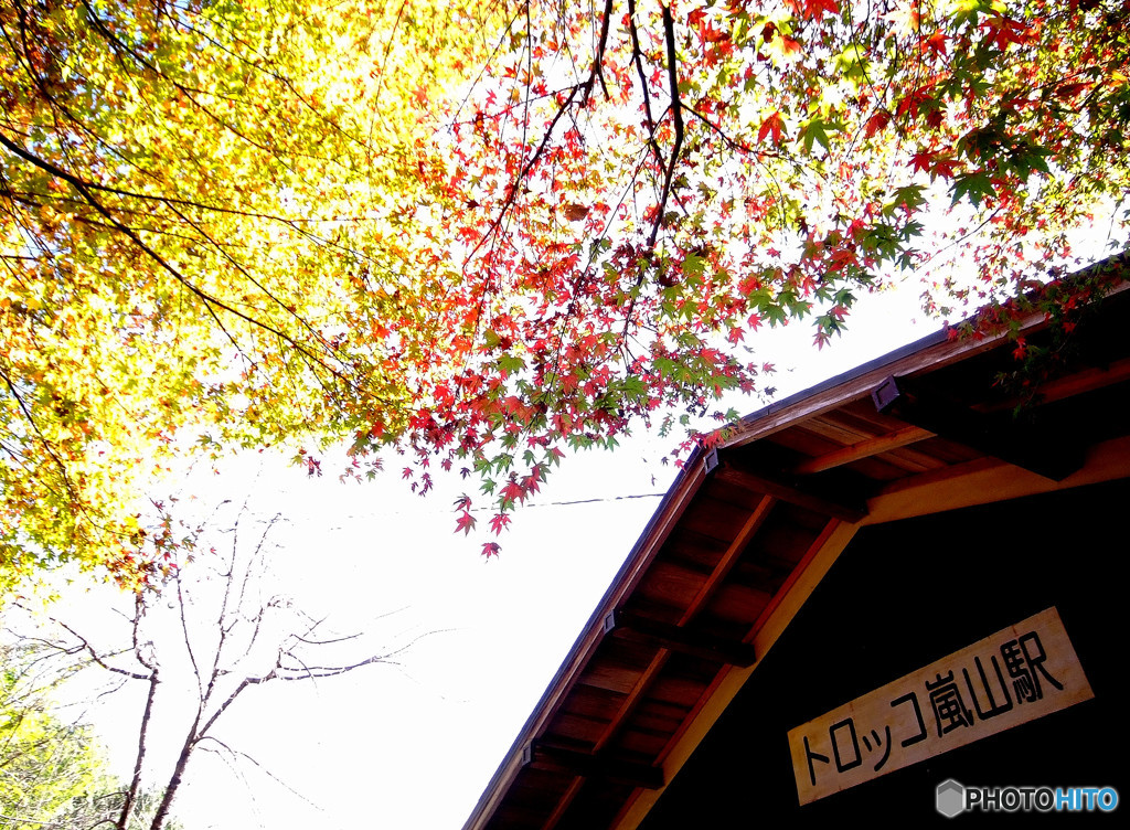 紅葉・Station