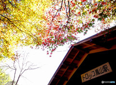 紅葉・Station