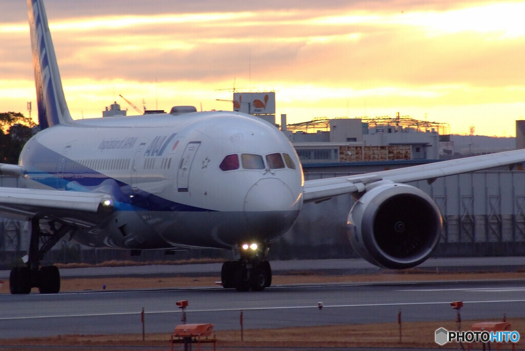 JAPANの朝Ⅱ✈Boeing 787-8