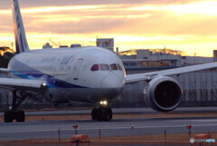 JAPANの朝Ⅱ✈Boeing 787-8