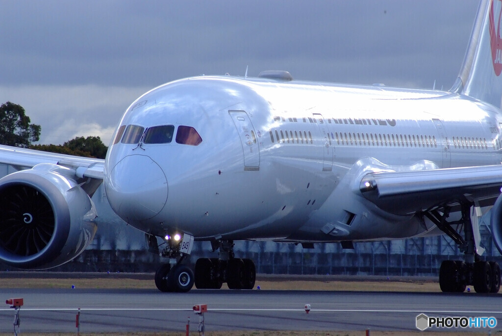 弥生の明かり✈Boeing 787-8
