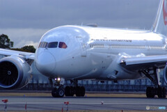 弥生の明かり✈Boeing 787-8