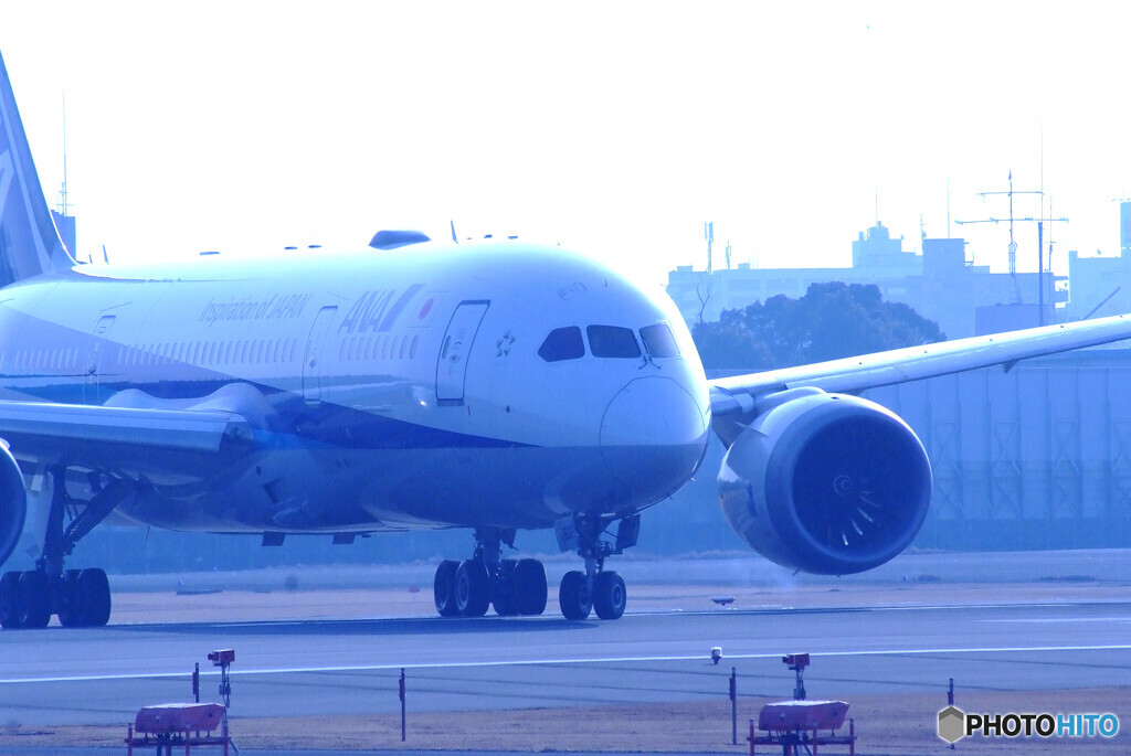 蒼の世界へ✈787-8 Dreamliner