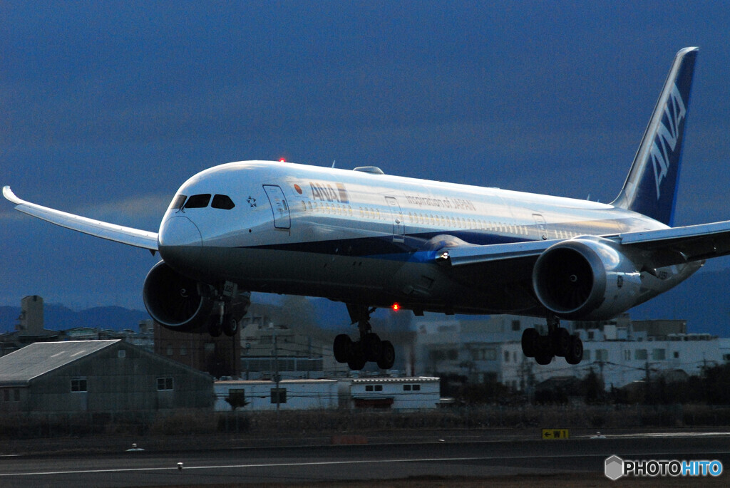 聖なる朝✈Boeing 787-8