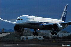 聖なる朝✈Boeing 787-8