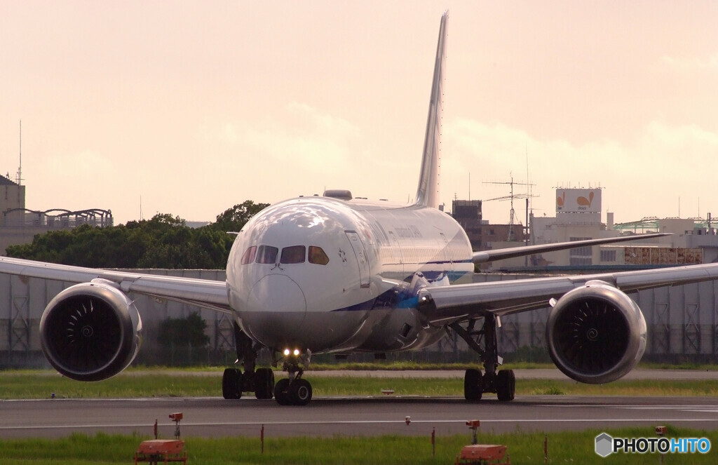 Good Luck✈Boeing787-8