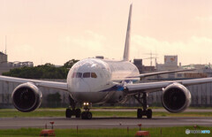 Good Luck✈Boeing787-8