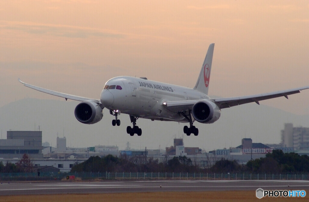 都会のOasis✈Boeing787-8