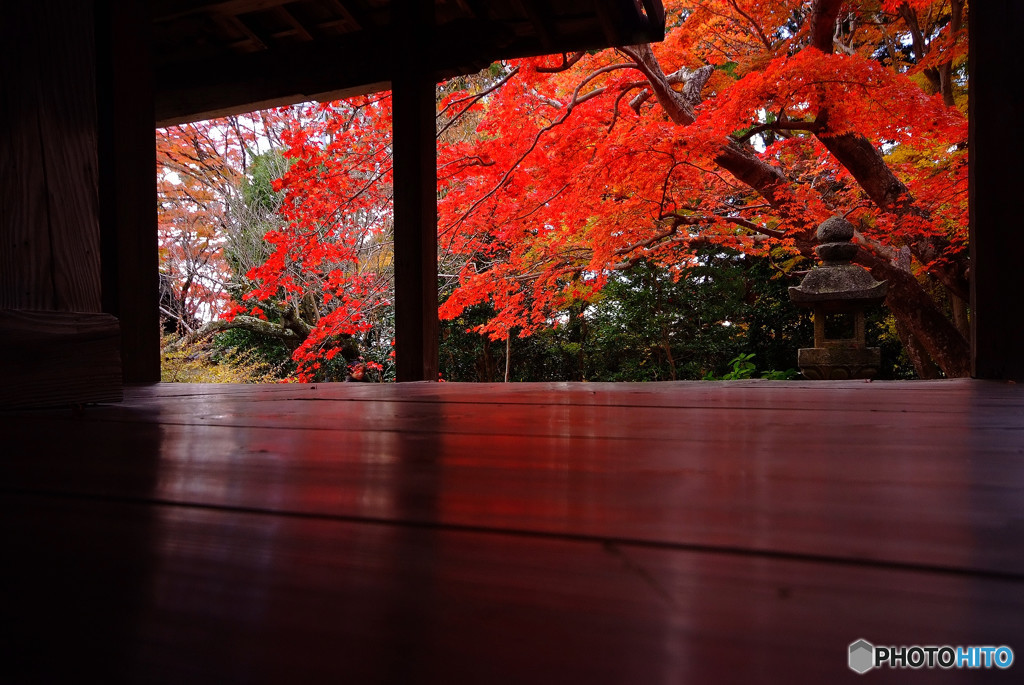 秋彩々・大門寺