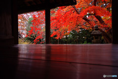 秋彩々・大門寺