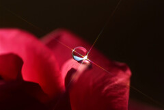 Eternal Shine✿恋する惑星