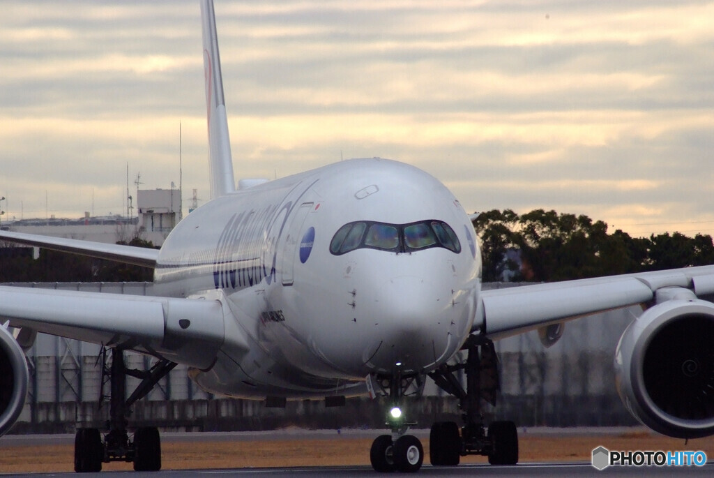 大空に誘うⅥ✈A350-900