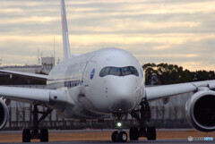 大空に誘うⅥ✈A350-900