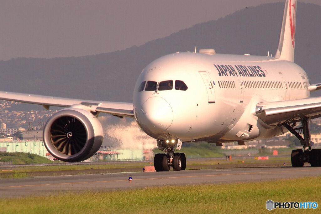 HOT SHOT✈Boeing 787-8 Dreamliner