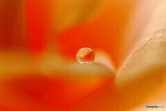World Peace✿祈り