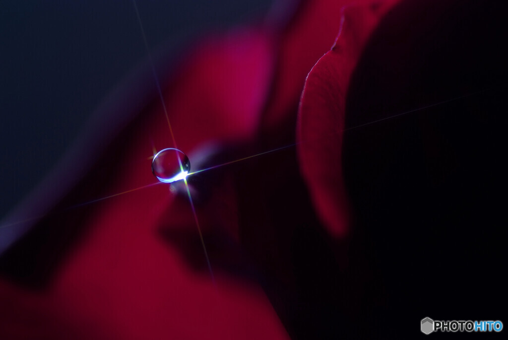 麗月の夢✾しずく