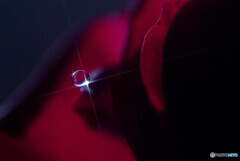 麗月の夢✾しずく