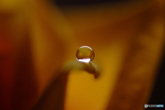 永遠に・雫