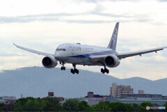 SKY LANDの朝　Ⅶ✈Dreamliner