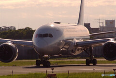 AIRPORT LADY✈ITMの空へ