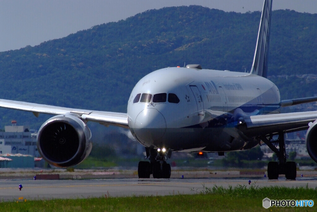 May Afternoon✈JA803A