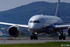 May Afternoon✈JA803A