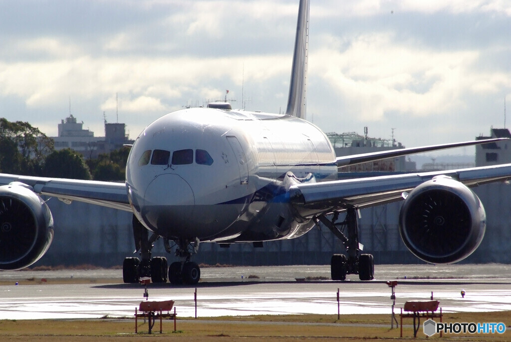 Japanese Pride✈Dreamliner