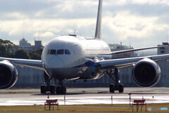 Japanese Pride✈Dreamliner