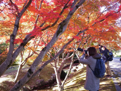 私の時間✿紅葉日和2025
