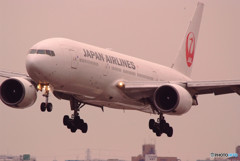 春色に誘われて・777