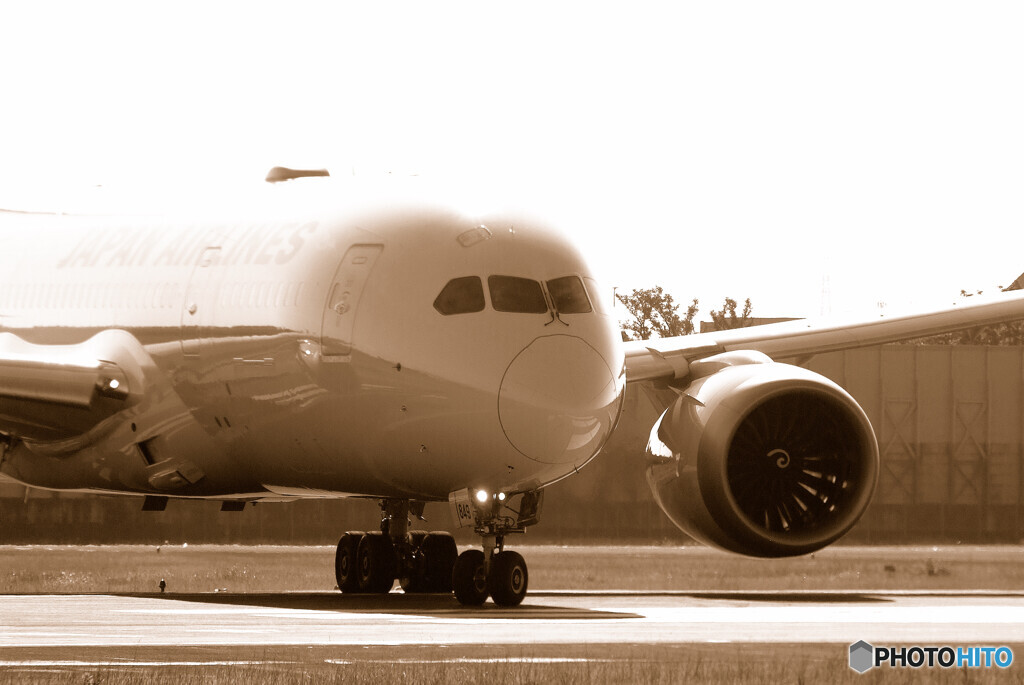 Sepiaの世界へ✈787