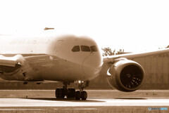 Sepiaの世界へ✈787