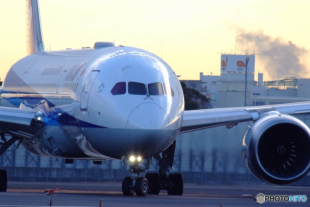 Beginnings of Adult・787