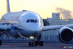 Beginnings of Adult・787